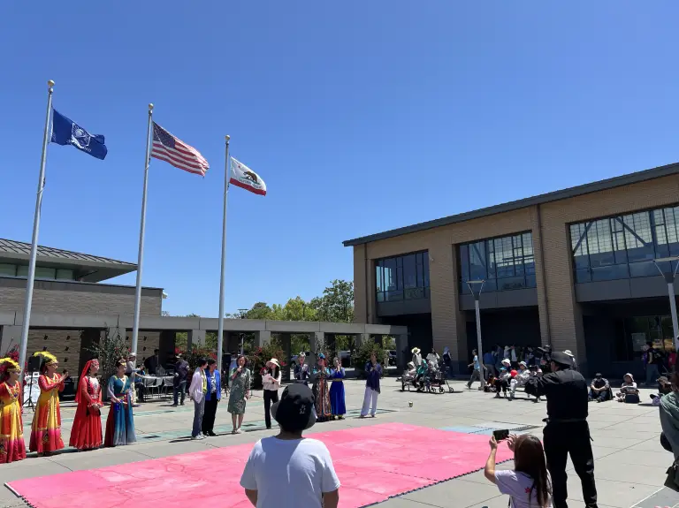Cupertino Festival